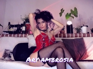 Ary_ambrosia