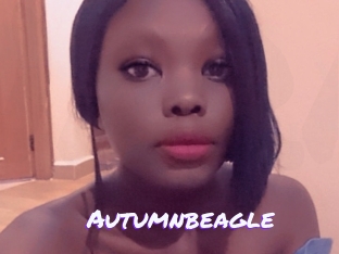 Autumnbeagle
