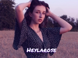 Heylarose