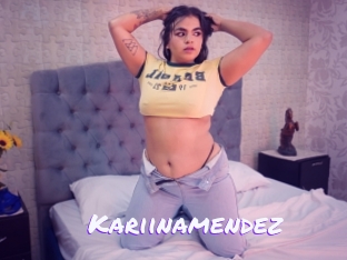 Kariinamendez