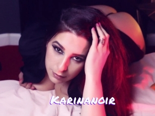 Karinanoir