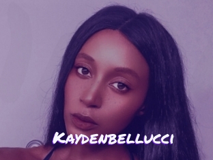Kaydenbellucci