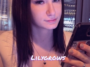 Lilygrows