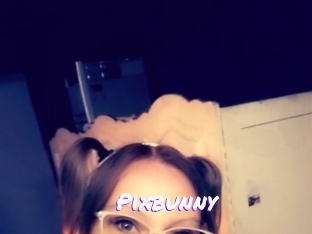 Pixbunny