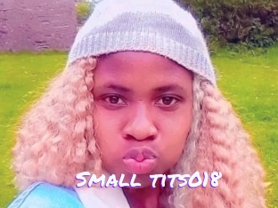 Small_tits018